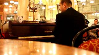 Cafe Central  Vienna live piano [upl. by Aisat]