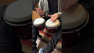 Solid Tuneable Bongos Sound Demo [upl. by Madid]