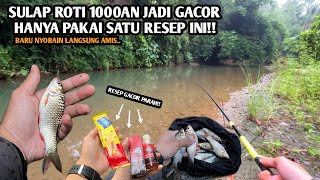 MANCING PUTIHAN JADI MUDAH PAKAI RESEP INI Mancing wader pakai umpan roti KLIK dan ESSEN RS31 [upl. by Selinda]