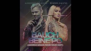 Andrew Gravis vs Shirin David  Bauch beine Po Andrew Gravis Remix Radio Edit remix music edm [upl. by Lenra495]