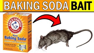 How To Get Rid of RATS amp MICE With BAKING SODA [upl. by Behnken]