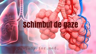 Schimbul de gaze la nivelul sistemului respirator si transportul gazelor barrons medicine umf [upl. by Marcoux]