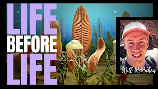 Life Before Life  The Ediacaran Explosion  with WILLIAM MCMAHON [upl. by Anawait]