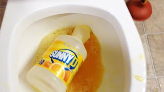 Toilet Vs Sunny D  Will it Flush [upl. by Felty]