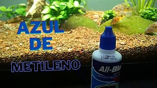 Uso correcto del azul de metileno y alternativas [upl. by Gati]