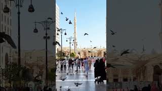 Madinah The City That Changed Islam Forever [upl. by Kumar784]