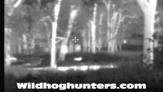 Nightvision and Thermal Hog Hunting at Wild River Ranch [upl. by Initof]