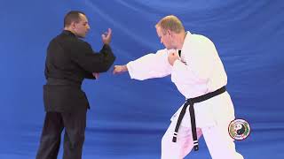 Kempo Karate  Combination 8 [upl. by Dailey]