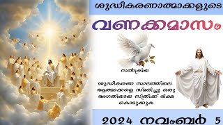 ശുദ്ധീകരണാത്മാക്കളുടെ വണക്കമാസം Souls in Purgatory 2024 November 5 [upl. by Leeanne578]