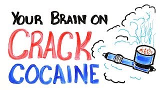 Your Brain on Crack Cocaine [upl. by Mychael]