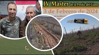 IV Master de Perdiz en Llanos del Caudillo [upl. by Eidoow]