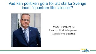 Mikael Damberg S finanspolitisk talesperson [upl. by Navonod]