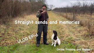 Training my English Springer spaniel puppy Billys Vlog Ep6 [upl. by Gladdie]