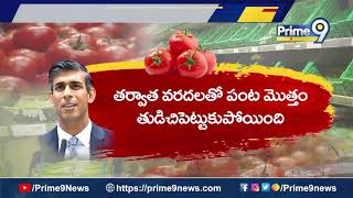 బ్రిటన్ లో టమాటాలు కొరత  Tomato Shortage In Britain  Prime 9 News [upl. by Woodhouse]