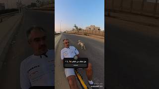 هجوم الكلاب🐕🚴‍♂️🐕مصر السعودية كلاب كلب [upl. by Corb423]