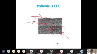 Lecture5 SBL704 Virology 15 01 2022 [upl. by Chevalier]