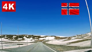 Hardangervidda Norway Scenic Routes 4k 🚘🧌🐠🦌🌅🏔️🫎🧌🚘 [upl. by Selma]