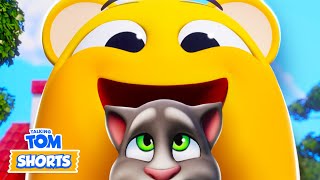 The Best Of The Pets 😍🏅 Talking Tom Shorts Compilation [upl. by Bronny173]