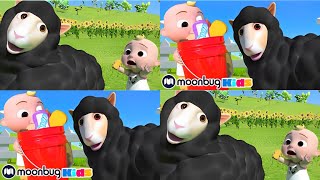 Baa Baa Colorful Sheep  Learn Colors Song  Kids Songs amp Nursery Rhymes Baa Baa Black Sheep Songs [upl. by Utimer943]