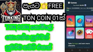 TONKING  TON COIN FREE EARNING  FREE EARNING SITE  TONKING SINHALA  2024 [upl. by Jonathon]