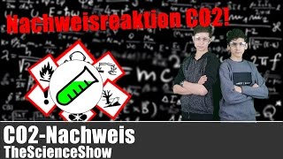 CO2Nachweis  Nachweiseraktion CO2  TheScienceShow [upl. by Assiron]