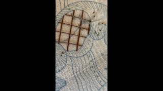 Phillipas Cosy Crewel Work Corner Video 17 Running Hare Couching [upl. by Denbrook]