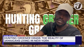 Hunting Greener Grass The Reality of Jamaicans Living in New York  TVJ News [upl. by Lahcar]