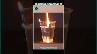 Amazing Science Experimentsfactinfact tamilshorts shorts [upl. by Ronny]