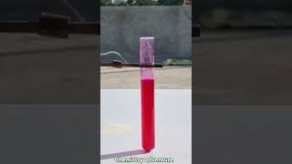 Science experiments Acid base indicator chemistry science viralvideo physics trending [upl. by Primalia349]