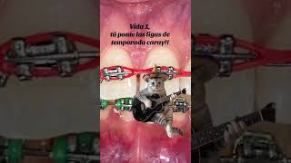 Que ligas ponerse en los brackets mexico cat [upl. by Novick]