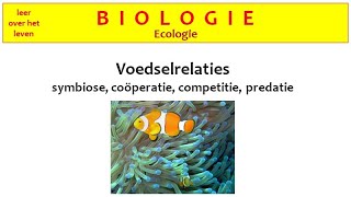 Biologie  Ecologie  Voedselrelaties symbiose coöperatie competitie en predatorprooirelatie [upl. by Rossen714]