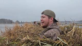 Reelfoot Lake Duck Hunt Day 22024Quake Lake Outfitters [upl. by Ecirahc]