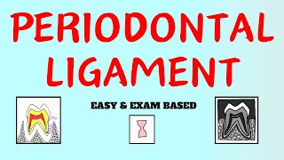 Periodontal Ligament  Cells of PDL  PDL  Dental Lectures [upl. by Eylhsa]