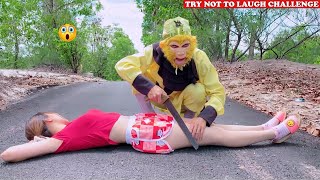 Try Not To Laugh 🤣 New Funny Videos 2020  Episode 73  Sun Wukong [upl. by Grewitz]