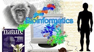 Bioinformatics part 1 What is Bioinformatics [upl. by Neeron]