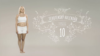 Tehotenský kalendár 10 týždeň [upl. by Ragland91]