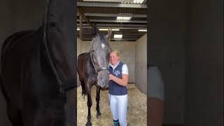 Here’s Dressage rider Alice Begg to tell us about her achievements this year 🥇 [upl. by Disario614]