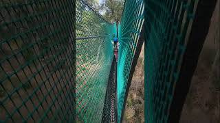 Treetop adventure Melbourne Yeodene australiavlog malayalamvlog minivlog vlogger [upl. by Raimund]