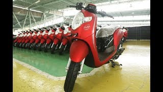 Pasaran Harga Motor Scoopy Bekas Terbaru 2018 [upl. by Veleda]