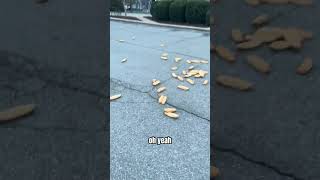 Fairhaven Runner Discovers Restaurant Parking Lot Covered in Bread [upl. by Thomsen]