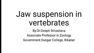 Jaw suspension in vertebrates [upl. by Enelyad]