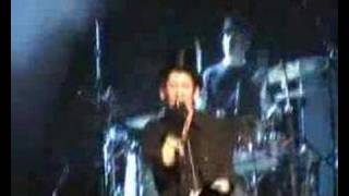 Babyshambles Freedom Gig Dirty Old Town  Shane MacGowan [upl. by Schapira901]