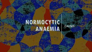 Normocytic Anaemia  Causes [upl. by Zerla]