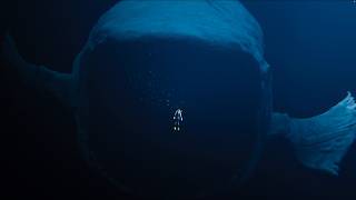 The Bloop spotted thalassophobia animation [upl. by Erdah]