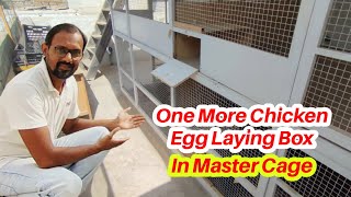 One More Chicken Egg Laying Box Made In Master Cage I M Wahaj Vlogs [upl. by Haze]