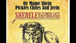 Polka Dot Blues Sherele Klezmer Jazz Band Innovators [upl. by Shaine602]