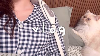 Vlog 술브이로그ㅣ고프로12브이로그 내돈내산✨ 어깨마사지기 리뷰베란다꾸미기어묵칼국수 만들기 혼술먹방 인테리어소품추천👍 동대구역맛집 ’목구멍‘ [upl. by Adnomar372]