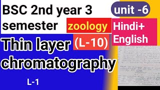 BSC 2nd year 3 semester zoology topic Thin layer chromatography TLC PART 1 [upl. by Neimad]