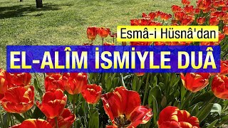 Ya Alim Duası  Rabbimiz ilmimizi artır hidayetten sonra kalbimizi kaydırma [upl. by Regor215]