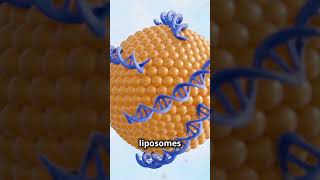 Revolutionary Liposome Drug Delivery Systems drugdelivery nanotechnology biotech [upl. by Wurst]